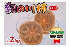 黒くて甘い 紀の川柿 2kg ★和歌山県オリジナル★［KF03］