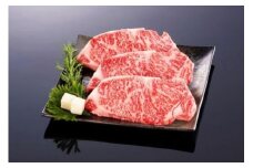 熊野牛 ロースステーキ　約600g【MT1】