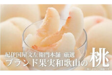 和歌山の桃 秀品 約3.8～4kg(サイズ・品種おまかせ) 和歌山県産 もも 桃 モモ 果物 フルーツ 産地直送 紀伊国屋文左衛門本舗【TC1】