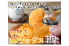 やわらか柿チップス 80g 6パック かきチップ 紀州味紀行 柿和歌 無添加 紀伊国屋文左衛門本舗【TC10】