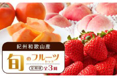 【2・7・11月 全3回】紀州和歌山産旬のフルーツセット（いちご・桃・富有柿）定期便 【魚鶴商店】【UT69】