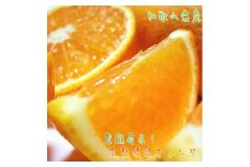有田育ちの 完熟 清見 オレンジ（ご家庭用）約3kg［先行予約］［MS32］