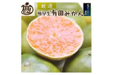 ＜9月より発送＞ 厳選 極早生 有田みかん 5kg+150g（傷み補償分） YN26 ゆら早生 ［IKE169］