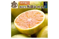 ＜9月より発送＞ 家庭用 極早生 有田みかん 5kg+150g（傷み補償分） YN26 ゆら早生 訳あり わけあり ［IKE166］