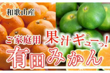 家庭用 有田みかん10kg+250g（傷み補償分）［2025年10月上旬から2026年1月下旬頃順次発送予定］［IKE252］
