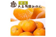＜11月より発送＞ 厳選 大きな 有田みかん 10kg+300g（傷み補償分） 光センサー選果 ［IKE182］