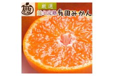 ＜1月中頃より発送＞ 厳選 越冬完熟みかん 5kg+150g（傷み補償分） ハウスみかん 光センサー選果［IKE194］
