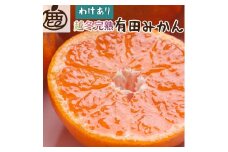 ＜1月中頃より発送＞ 家庭用 越冬完熟みかん 5kg+150g（傷み補償分） ハウスみかん 訳あり わけあり 光センサー選果［IKE191］