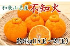和歌山県産不知火約5kg（18玉～24玉おまかせ）L～3Lサイズ★2026年2月下旬頃より順次発送［TM159］