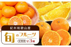 【1・4・7月 全3回】紀州和歌山産旬のフルーツセット（みかん・なつみ・バレンシア）【UT82】