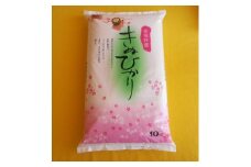［先行予約］和歌山県産 米 キヌヒカリ 10kg  (2025年産)［SL28］
