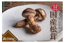 和歌山県産 香り高く希少な国産 松茸 約200g【2025年10月中旬頃より順次発送】【OKT1】