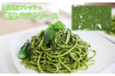 お得なパック入り30袋　農家だからできる濃厚『バジルソース　ジェノベーゼ』
