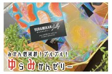旬の2個入りゼリー25袋 みかんの美味しさぎゅっと詰めました