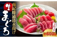【定期便全5回】生まぐろの本場紀州勝浦から直送！ 生メバチマグロ 約600g（1カ月に1回お届け）（全5ヵ月）