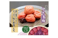 しそ漬梅 (1kg×1箱）【Kn4】