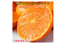 紀州有田産せとか約5kg ［ご家庭用］とろける食感！ジューシー柑橘［2026年2月上旬以降発送］［UT90］