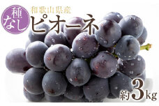 【新鮮・産直】和歌山かつらぎ町産たねなしピオーネ約3kg★2025年8月中旬頃より順次発送【TM127】