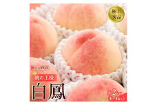 先行販売！［モモ］ 白鳳　桃の王様！約2kg6～8個 ［2026年6月下旬頃より順次発送］［秀品］こだわり農家厳選 ［KG12］
