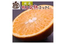 ＜4月より発送＞ 厳選 樹上完熟 はっさく5kg+150g（傷み補償分） 八朔 さつき 木成 ［IKE33］