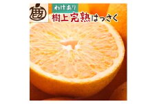 ＜4月より発送＞ 家庭用 樹上完熟 はっさく10kg+300g（傷み補償分） 八朔 訳あり わけあり さつき 木成 ［IKE36］