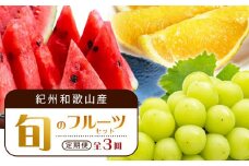 【6・7・9月 全3回】紀州和歌山産旬のフルーツセット（スイカ・バレンシア・シャイン）【UT93】
