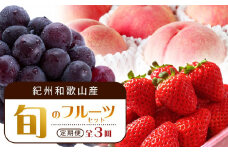 【2・7・9月 全3回】紀州和歌山産旬のフルーツセット（いちご・桃・ピオーネ）【UT95】