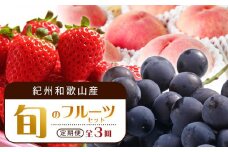 【2・7・9月 全3回】紀州和歌山産旬のフルーツセット（いちご・桃・巨峰）【UT96】