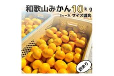 【訳あり】和歌山みかん 約9.5kg+補償分約500g サイズ混合 11月より順次発送 訳ありみかん 【red1】