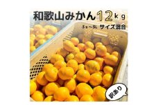 【訳あり】和歌山みかん約11kg+補償分約1kg サイズ混合 11月より順次発送 訳ありみかん 【red2】