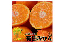 【訳あり】有田みかん 約7.5kg【2024年10月下旬より順次発送】