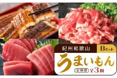 【定期便 全3回】紀州和歌山うまいもんセットB（生まぐろ・うなぎ蒲焼・熊野牛）【UT126】