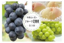 定期便全3回 【7月・8月・9月発送】 和歌山のフルーツをお届け（桃・たねなしピオーネ・シャインマスカット）【TM180】
