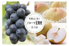定期便全3回 【7月・8月・9月発送】 和歌山の夏のフルーツをお届け（桃・梨・たねなしピオーネ）【TM179】