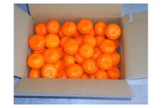 紀州有田みかん 秀品 約5kg サイズおまかせ（Ｌ・M・S）いずれかお届け［SL48］