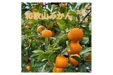和歌山県海南市産みかん 良品 約1kg（サイズ2S～2L）【red4】