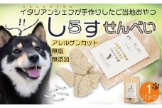 しらす せんべい ( 愛 犬  ワン 友 無添加 無塩 おやつ ) 1P ペット お試し用 REICAFE 【Rc14】
