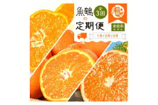 【1・2・3月 全3回 定期便】紀州和歌山産旬のご家庭用柑橘セット(みかん・不知火・清見)【UT129】