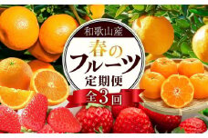 定期便全3回 【2月・3月・4月発送】 和歌山の春のフルーツ （ポンカン・清見オレンジ・まりひめ）【TM174】