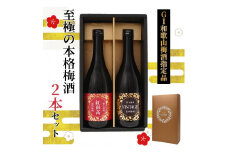 「GI和歌山梅酒」に指定された 至極の本格 梅酒 2本セット ［MG77］