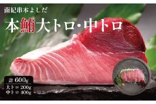 南紀串本よしだ 本鮪 大トロ サク 200g 中トロ サク 400gセット