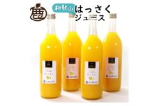 無添加はっさくジュース 約720ml×4本［IKE264］