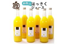 無添加はっさくジュース 約720ml×6本［IKE265］