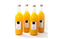 無添加甘夏ジュース 約720ml×4本［IKE268］