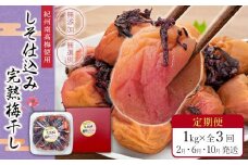 【定期便（2月・6月・10月）全3回お届け】 紀州南高梅使用 しそ仕込み完熟梅干し 無選別1kg ［TM214］