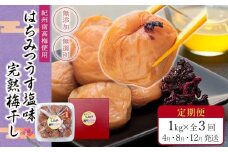 【定期便（4月・8月・12月）全3回お届け】 紀州南高梅使用 はちみつ うす塩味 完熟梅干し 無選別 1kg ［TM215］