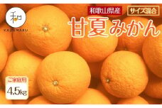家庭用 森本農園の手選別 甘夏みかん 約4.5kg 和歌山県産 サイズ混合 ［北海道・沖縄・離島配送不可］［2026年4月上旬から順次発送］［RN69］