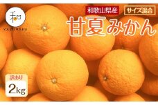 訳あり 森本農園の手選別 甘夏みかん 約2kg 和歌山県産 サイズ混合 ［北海道・沖縄・離島配送不可］［2026年4月上旬から順次発送］［RN73］