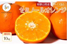 贈答用 森本農園の手選別 厳選セミノールオレンジ 約10kg 和歌山県産 サイズ混合 ［北海道・沖縄・離島配送不可］［2026年4月中旬から順次発送］［RN112］