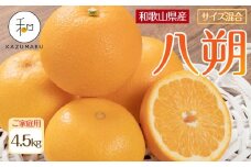 家庭用 森本農園の手選別 八朔 約4.5kg 和歌山県産 サイズ混合 ［北海道・沖縄・離島配送不可］［2026年1月中旬から2月中旬頃順次発送予定］［RN114］